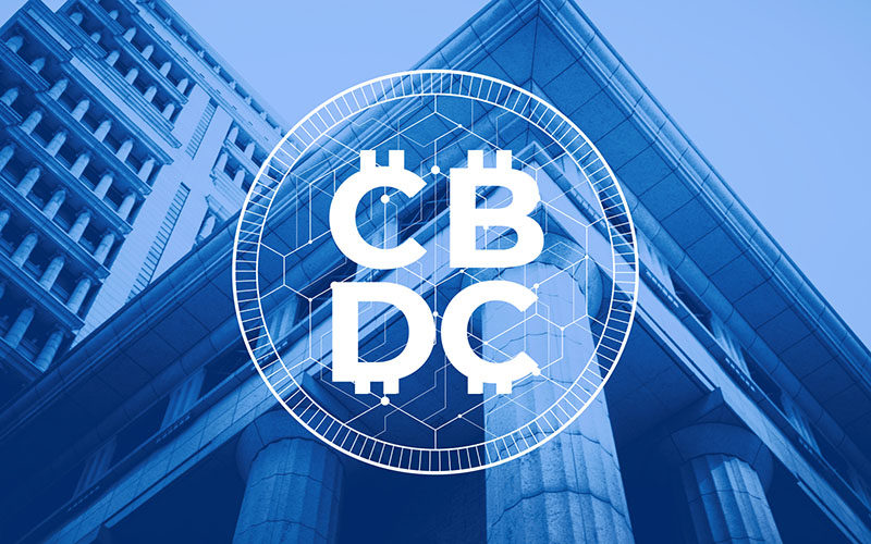 What Is A Central Bank Digital Currency? All Types Explained